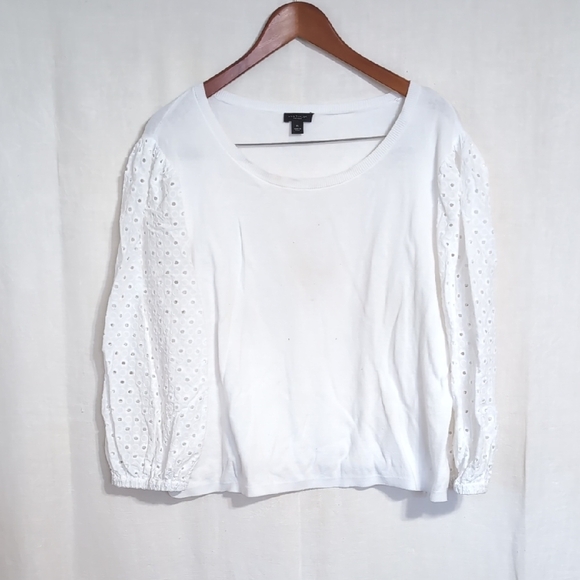 Ann Taylor White Cotton Eyelet Sleeve Knit Blouse Size Extra Large - Picture 1 of 5